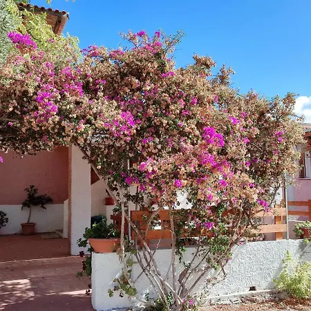 Apartamento - In Seminterrato In Di Campagna, Piscina Fuori Terra A 4 Minuti Di Auto Dalla Citta Alghero