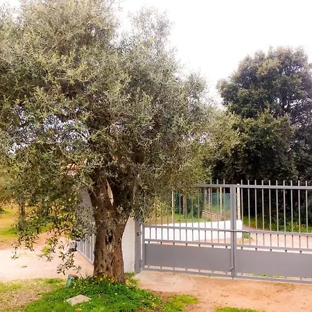 - In Seminterrato In Di Campagna, Piscina Fuori Terra A 4 Minuti Di Auto Dalla Citta