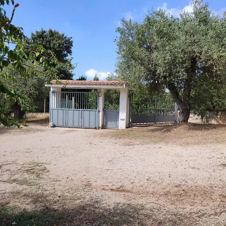 - In Seminterrato In Di Campagna, Piscina Fuori Terra A 4 Minuti Di Auto Dalla Citta Apartamento Alghero