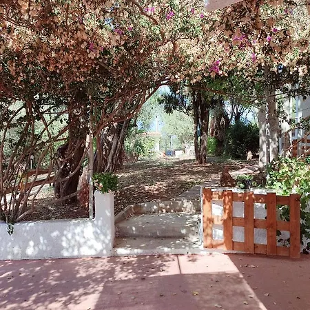 Alghero Guest House, Oasi Tra Gli Ulivi Con Piscina E Fresche Suites In Seminterrato *