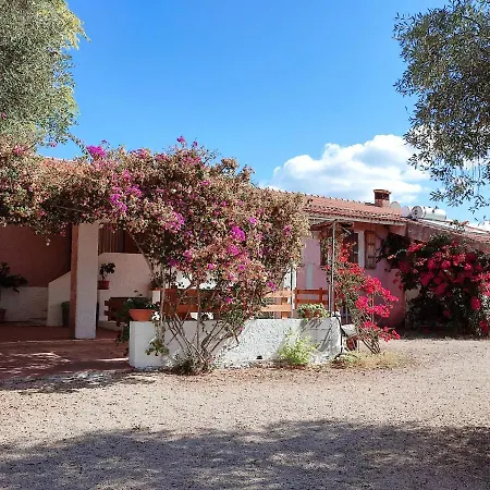 Alghero Guest House, Oasi Tra Gli Ulivi Con Piscina E Fresche Suites In Seminterrato