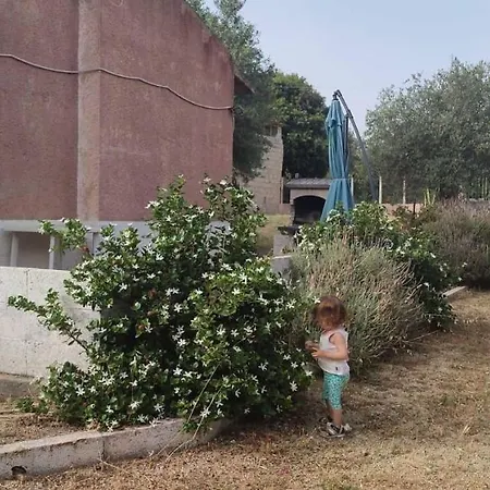 - In Seminterrato In Di Campagna, Piscina Fuori Terra A 4 Minuti Di Auto Dalla Citta Apartamento