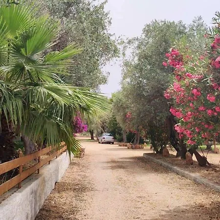 Apartamento - In Seminterrato In Di Campagna, Piscina Fuori Terra A 4 Minuti Di Auto Dalla Citta *