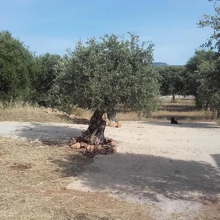 - In Seminterrato In Di Campagna, Piscina Fuori Terra A 4 Minuti Di Auto Dalla Citta Apartamento