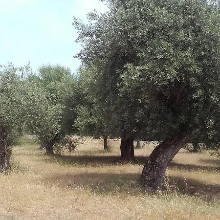 Apartamento - In Seminterrato In Di Campagna, Piscina Fuori Terra A 4 Minuti Di Auto Dalla Citta *