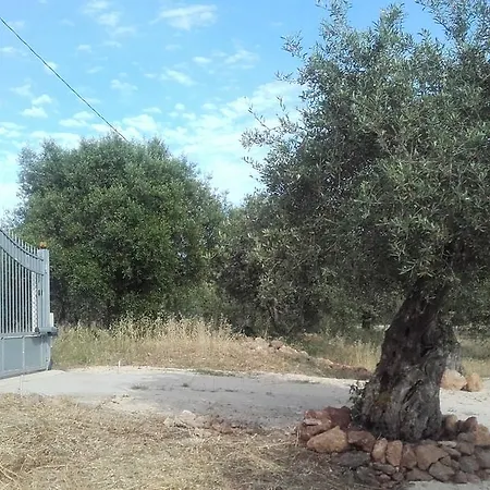 - In Seminterrato In Di Campagna, Piscina Fuori Terra A 4 Minuti Di Auto Dalla Citta Apartamento *