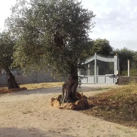 - In Seminterrato In Di Campagna, Piscina Fuori Terra A 4 Minuti Di Auto Dalla Citta Apartamento Alghero