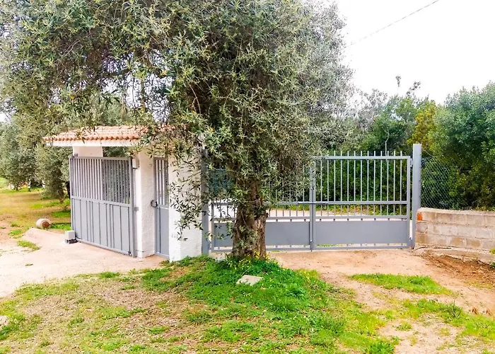 - In Seminterrato In Di Campagna, Piscina Fuori Terra A 4 Minuti Di Auto Dalla Citta アパート アルゲーロ