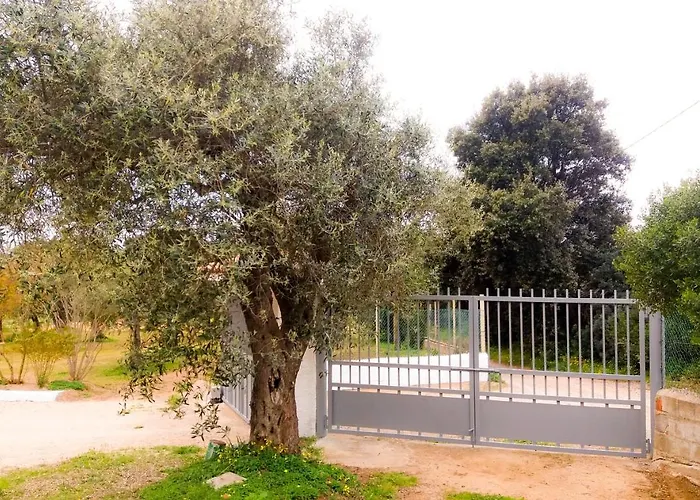 - In Seminterrato In Di Campagna, Piscina Fuori Terra A 4 Minuti Di Auto Dalla Citta