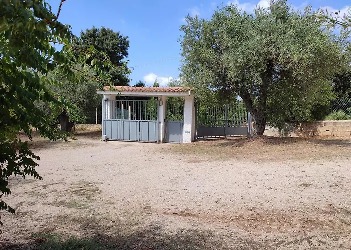 - In Seminterrato In Di Campagna, Piscina Fuori Terra A 4 Minuti Di Auto Dalla Citta アパート アルゲーロ