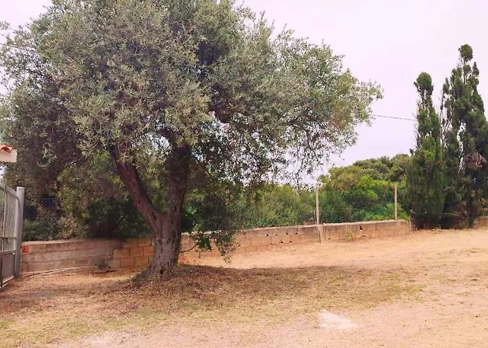 - In Seminterrato In Di Campagna, Piscina Fuori Terra A 4 Minuti Di Auto Dalla Citta * アルゲーロ