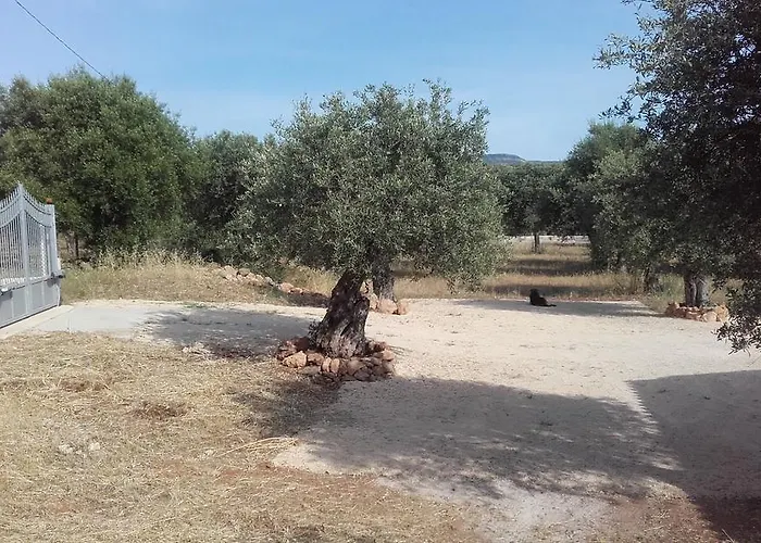 - In Seminterrato In Di Campagna, Piscina Fuori Terra A 4 Minuti Di Auto Dalla Citta アパート