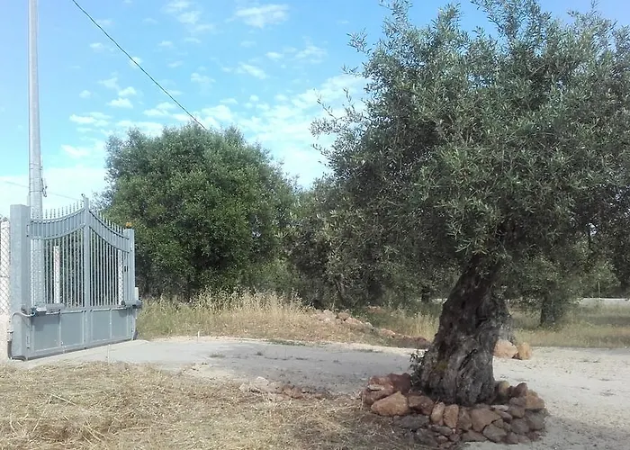 - In Seminterrato In Di Campagna, Piscina Fuori Terra A 4 Minuti Di Auto Dalla Citta アパート *