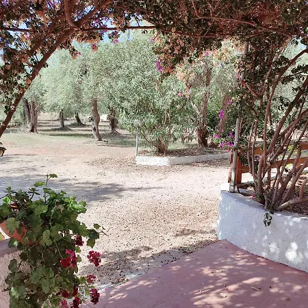 Lejlighed Alghero Guest House, Oasi Tra Gli Ulivi Con Piscina E Fresche Suites In Seminterrato
