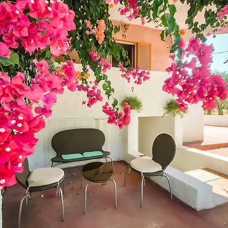 Alghero Guest House, Oasi Tra Gli Ulivi Con Piscina E Fresche Suites In Seminterrato *
