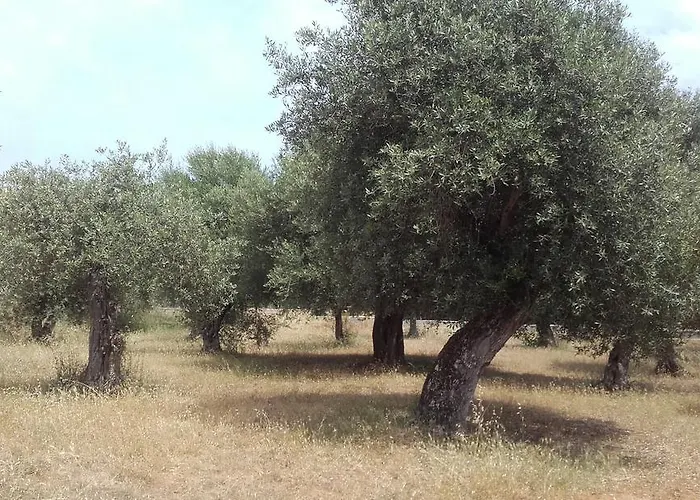 Апартаменты - In Seminterrato In Di Campagna, Piscina Fuori Terra A 4 Minuti Di Auto Dalla Citta *