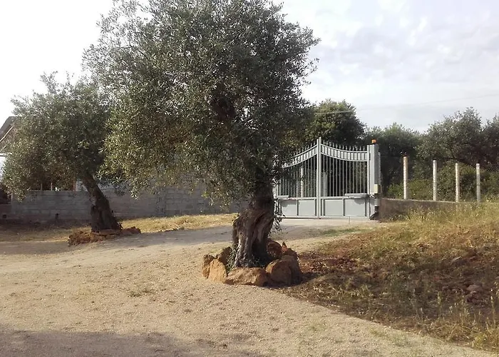 - In Seminterrato In Di Campagna, Piscina Fuori Terra A 4 Minuti Di Auto Dalla Citta Апартаменты Альгеро
